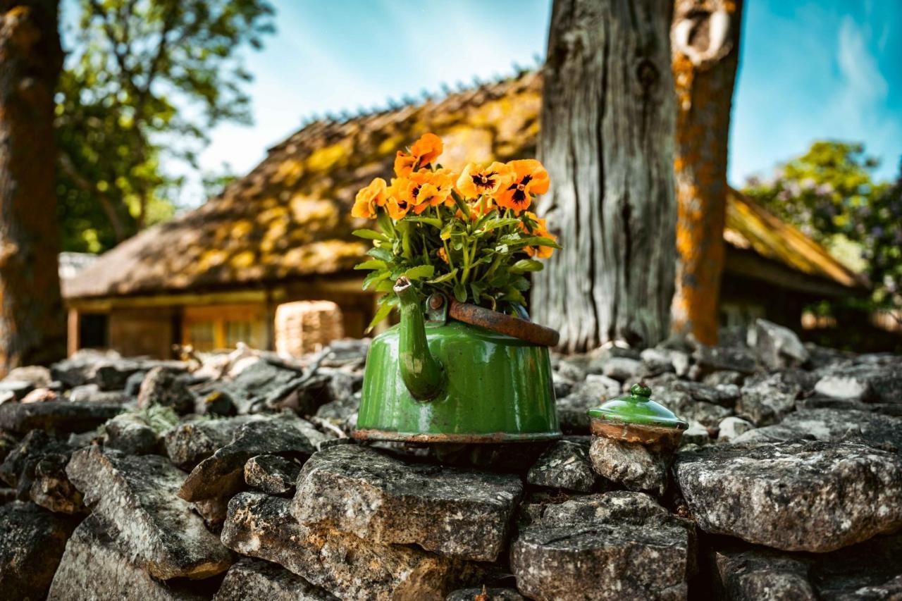 Vanatoa Taluhotell Koguva ภายนอก รูปภาพ